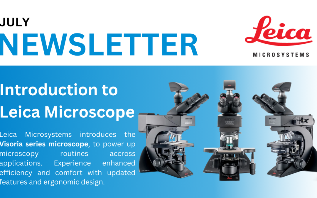 Newsletter July 2026